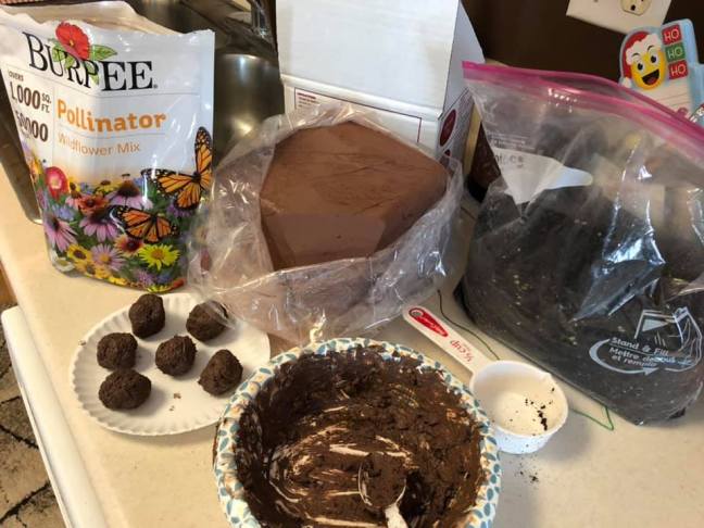 53117674_605919229836526_1748758108512976896_n