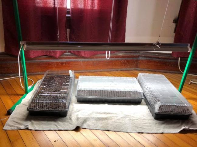 54428410_10217309902453273_2431666395432353792_n