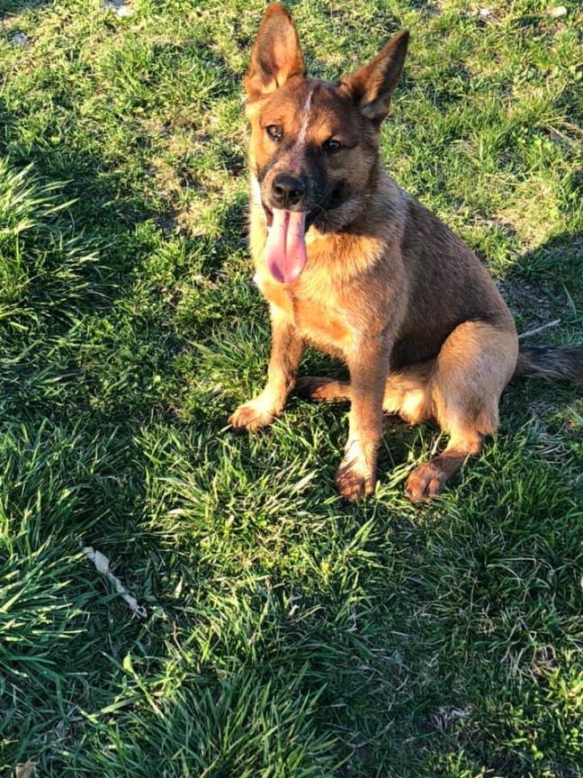 57595553_10217487750299358_8532116949147058176_n