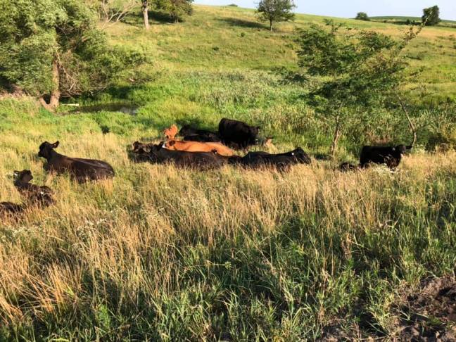 67325788_10218350306622727_194063712108150784_n