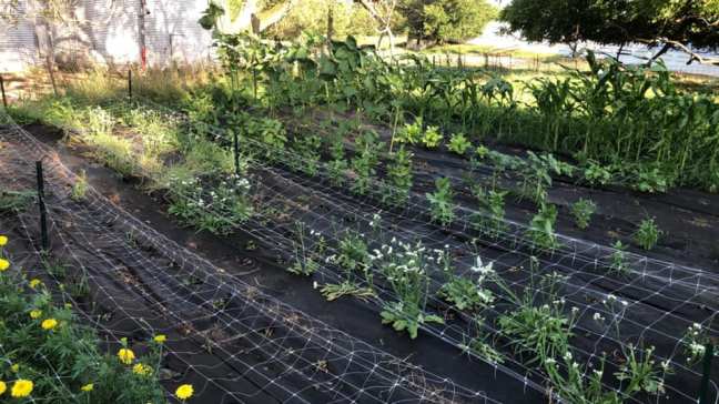 67723107_10218350311862858_2550611739418820608_n