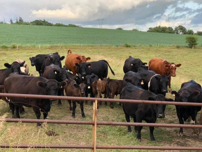 69399000_10218604394694770_3265537749104459776_n