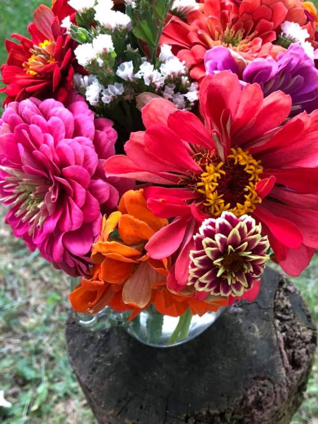 68751633_10218519820140459_1146851646370742272_n