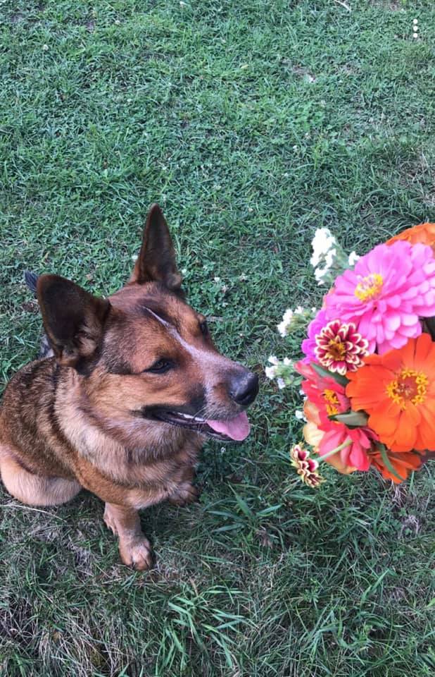 69236920_10218519863701548_8197760690115575808_n