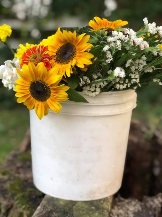 70015227_10218682036515767_6318774053586862080_n